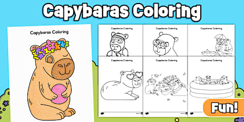 Third Grade Life Cycle of a Butterfly Reading Passage Comprehension
