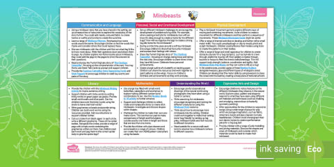 EYFS Minibeasts Describe It and Find It Adult Input Plan and Resource Pack