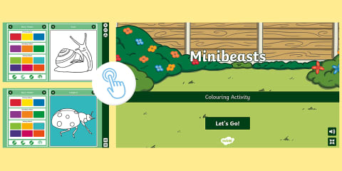 Minibeasts Interactive Matching Activity
