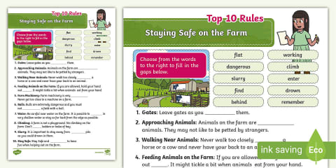Sparks in the Sky Staying Safe on Bonfire Night PowerPoint