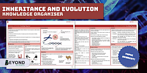 KS3 Inheritance and Evolution Foundation Practice Exam Questions