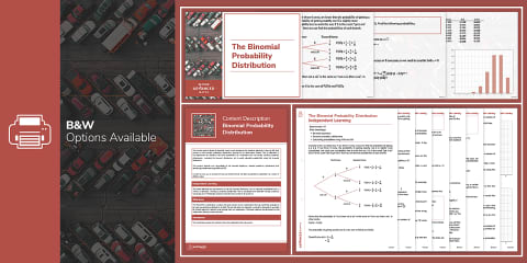 Edexcel Large Data Set Display Pack