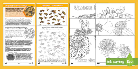 World Bee Day Junior Ultimate Teaching Pack