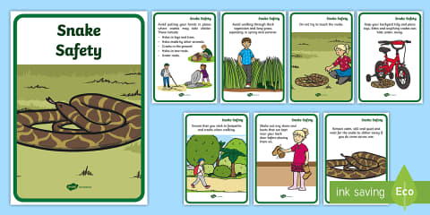 Snake Safety Leaflet Template
