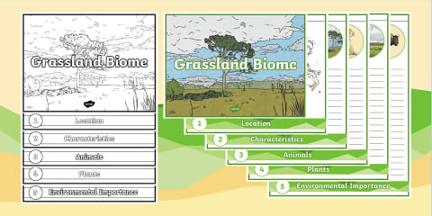 Grassland Biomes Fact File Template