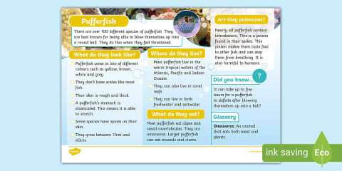 Salmon Fact File KS1 Salmon Fact File