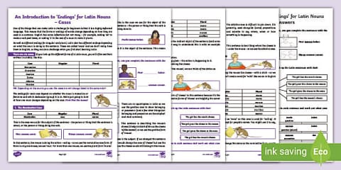 An Introduction to 'Endings' for Latin Nouns Pack