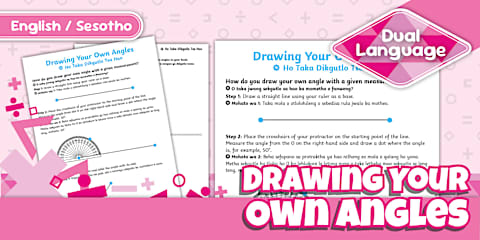 Grade 7 Maths - Term 4 - How to Draw a Pie Chart - Poster - Sesotho ...