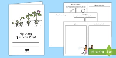 Grow a Bean in a Bag EYLF Science Experiment and Prompt Card Pack
