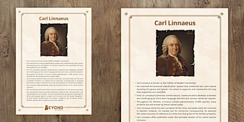 Carl Refexample Carl Linnaeus Fact File Template