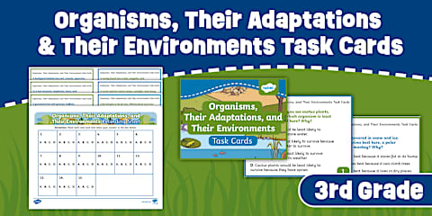 Third Grade Gravity Vocabulary Worksheet