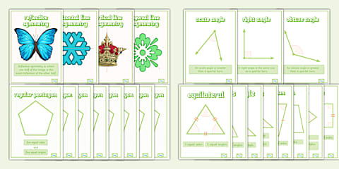 Year 4 Properties of 2D Shapes Activity Sheet
