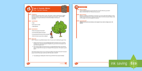Tree Rubbing Activity Leaf Rubbings Worksheet