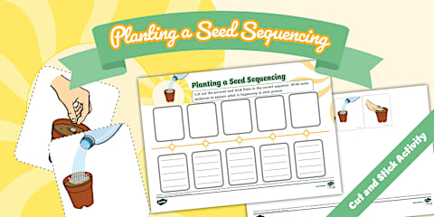 Kindergarten Planting a Seed Sequence and Write Worksheet