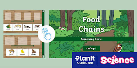 Food Webs Interactive Sorting Game