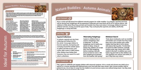 EYLF Nature Buddies Outdoor Learning: Autumn Leaves