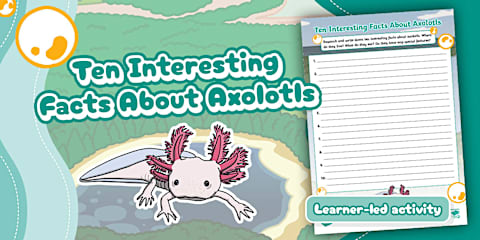Coral Reefs Circles Booklet