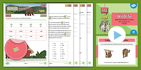 Same and Different Animal Comparison Worksheet