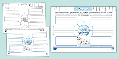 How to Draw an Arctic Fox Worksheet