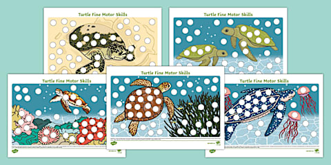 Motor Labelling Activity EYFS Turtle Body Parts Labelling Activity