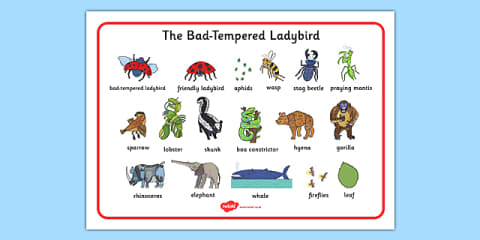 Story Sequencing to Support Teaching on The Bad Tempered Ladybird