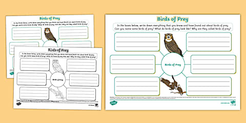 Birds of Prey Leaflet Template