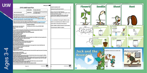 EYFS Planting Sunflowers Adult Input Plan and Resource Pack