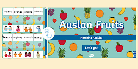 Auslan Nature Interactive Matching Activity