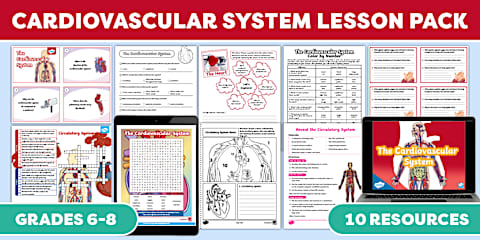 Reveal the Circulatory System Magic Ink Worksheet