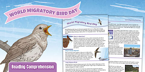 UKS2 British Garden Birds Reading Comprehension Activity