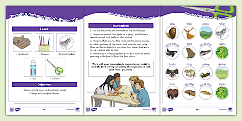 Sixth Grade Food Web Trophic Levels Reading Passage Comprehension Worksheet