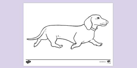 Dachshund Pencil Control Activity Sheet