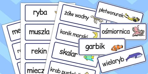 Geo Wonderers KS1 The UK BSL Key Word Cards Lesson Five