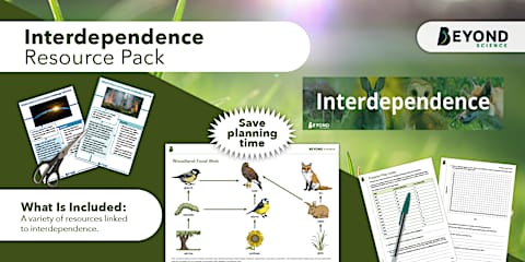 KS3 Ecosystems and Interdependence Revision Pack