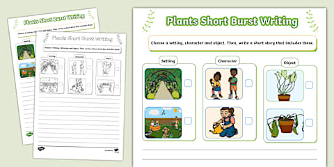 Phase 1 Writing: Writing to Inform Writing Instructions: How to Plant a ...