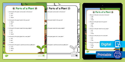 Second Grade Plant Structures and Growth Needs Quiz