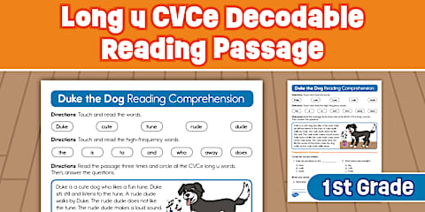 First Grade Long a CVCe Decodable Reading Passage Comprehension Worksheet