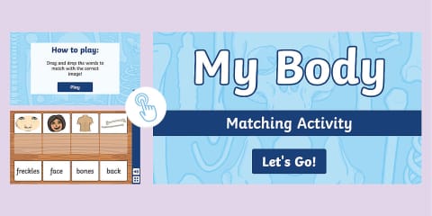Parts of the Body Labeling Activity