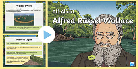 Alfred Russel Wallace Influential Scientist Poster and Fact File