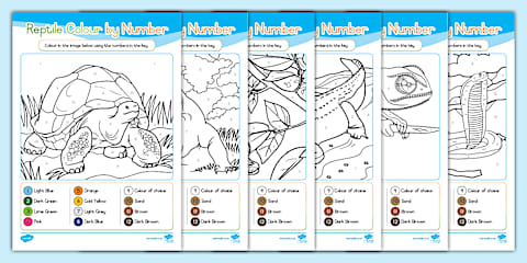 Grade R Maths - Lizards Colour and Count Worksheet (CAPS Aligned)