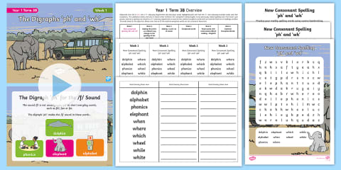 Year 5 Term 3B Week 1 Spelling Pack