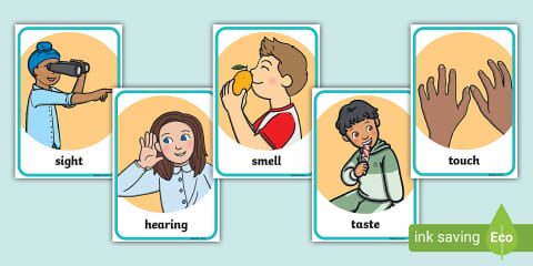 Five Senses Word Cards