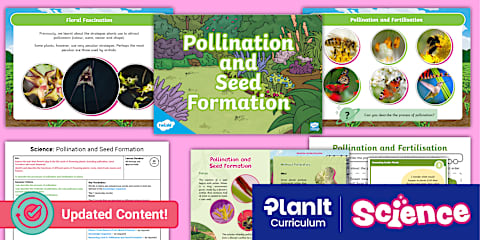 Y3 Plants Tiered Vocabulary Posters