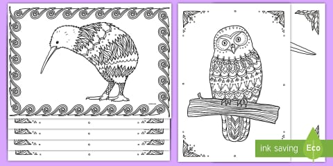 New Zealand Birds Mindfulness Colouring Pages