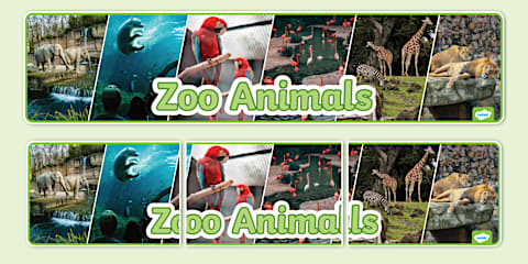 Zoo Animals Photo Display Poster