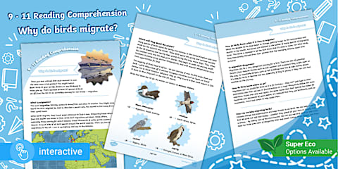 Birds in Your Garden Reading Comprehension Activity