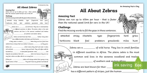 Zebra Diagram Activity Pack