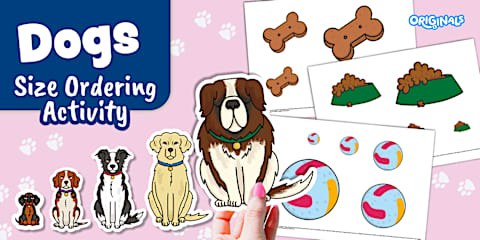 Sorting Dogs Worksheet Big or Small? Sorting Flashcards