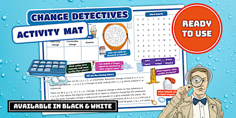 Change Detectives Word Wall Display Cards