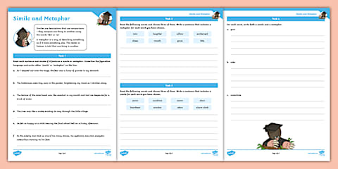 Similes and Metaphors Activity Sheets